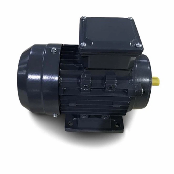 IE1__4_.JPG-removebg-preview(001)